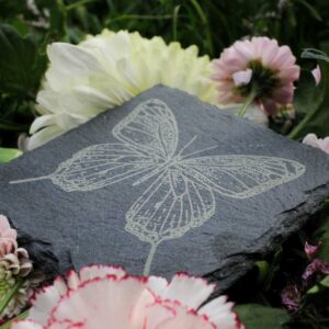 Butterfly Coaster